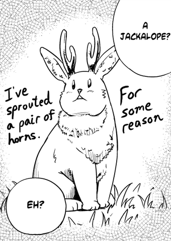 Jaunty Jackalope